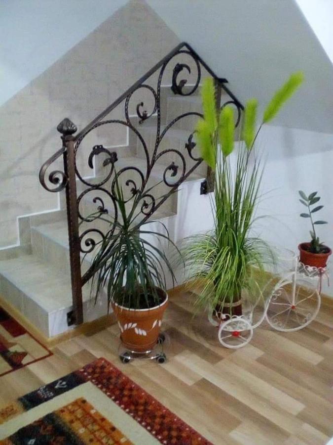 Vila Darian Buşteni Exterior foto