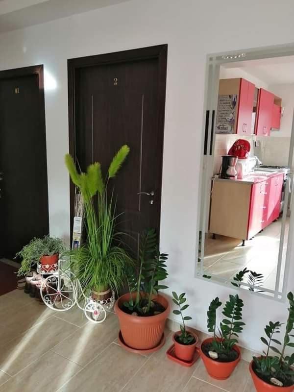 Vila Darian Buşteni Exterior foto