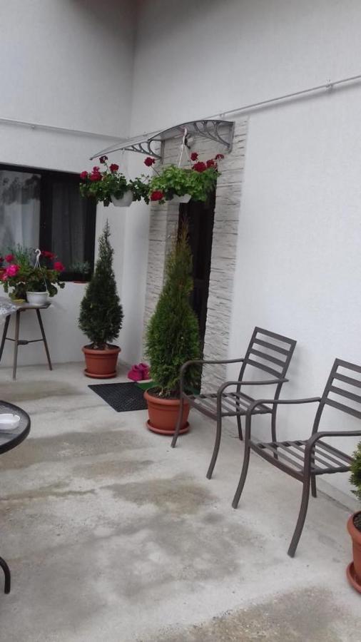Vila Darian Buşteni Exterior foto
