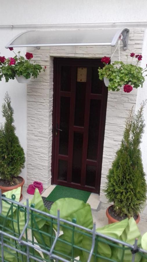 Vila Darian Buşteni Exterior foto