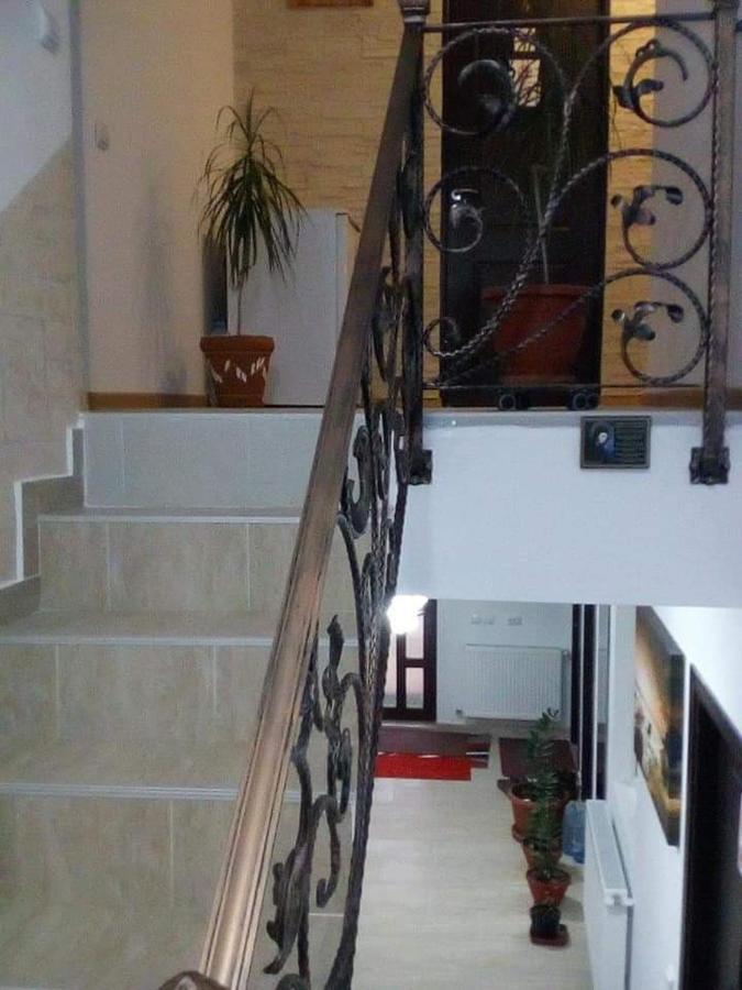 Vila Darian Buşteni Exterior foto