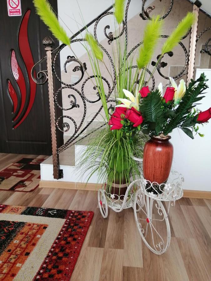 Vila Darian Buşteni Exterior foto